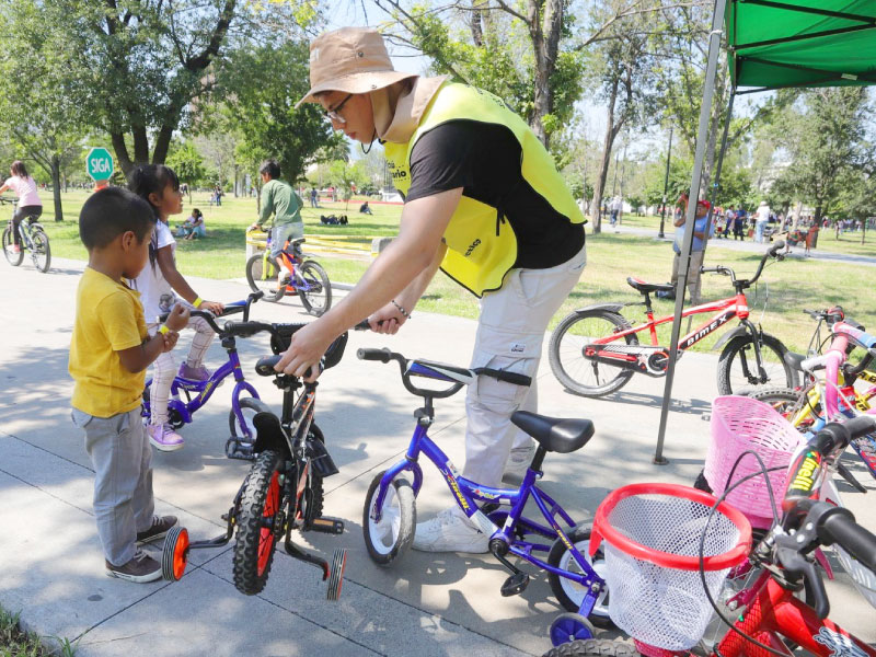 alameda-de-pinta-donación-img-10